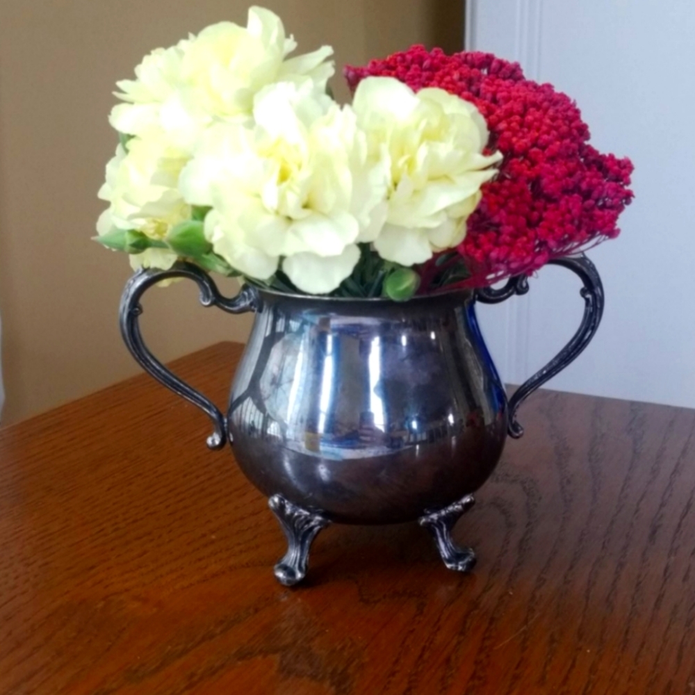Silver Plated Chic Rustic Vase